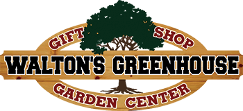 Walton's Greenhouse